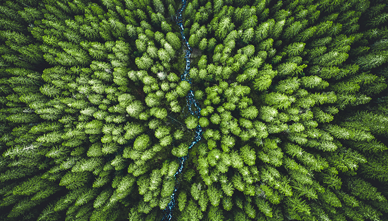 Environmental Product Declarations (EPDs)